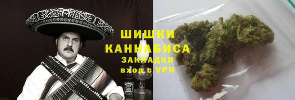 гидра Кодинск